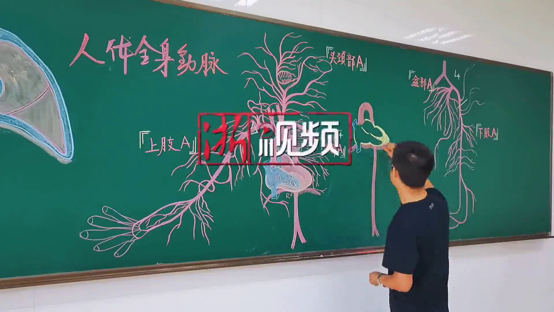 绝了! 浙江一大学老师手绘的人体解剖图, 网友: 被老师耽误的画家