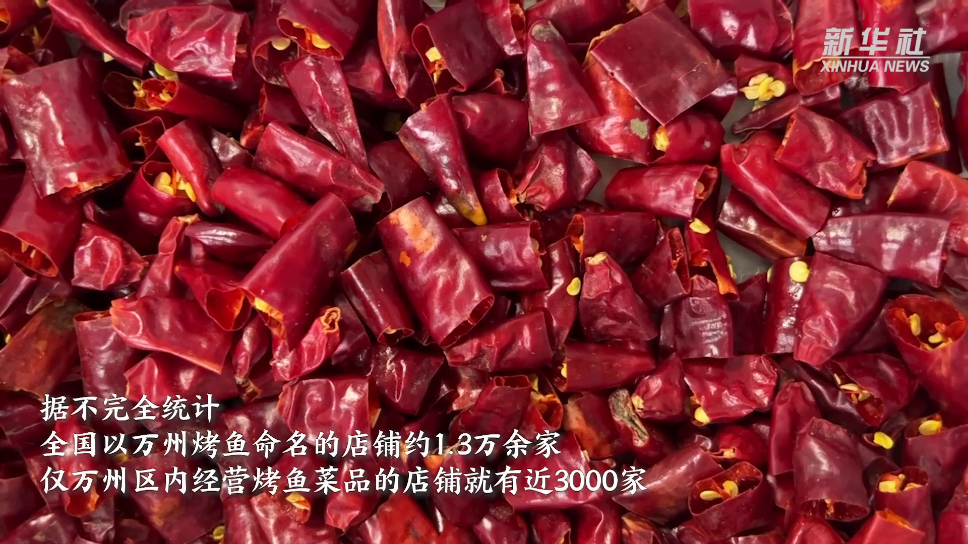 重庆万州: 烤鱼技术培训促就业