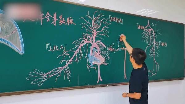 杭州一大学老师用粉笔手绘人体器官, 下课后学生围着拍照