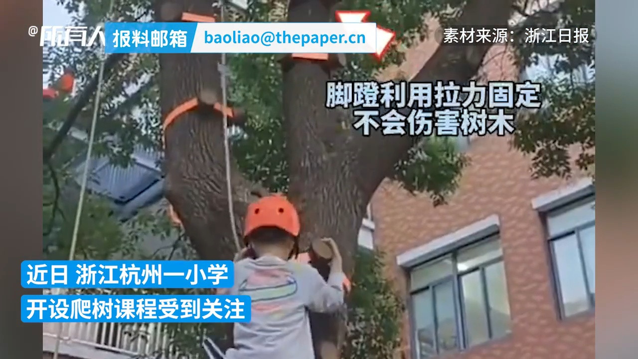 浙江一小学开设爬树课程: 确保每个学生有两次爬树体验